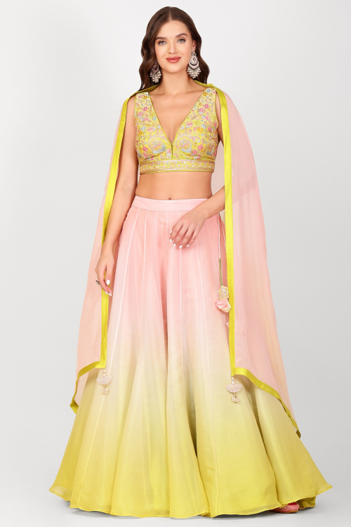 Pastel Pink Printed Silk Organza Flared Style Lehenga 