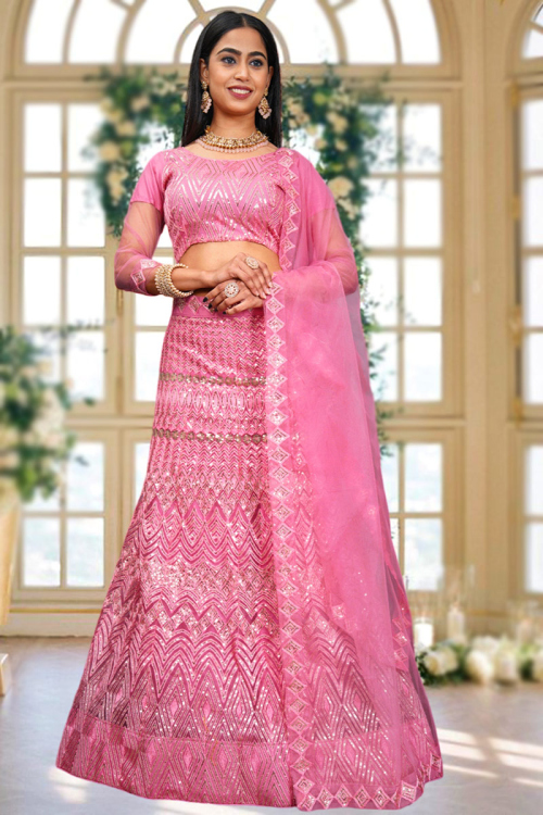 Carnation Pink Net Embroidered Panelled Style Lehenga
