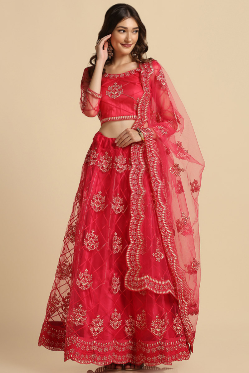 Cherry Red Net Embroidered Panelled Style Lehenga
