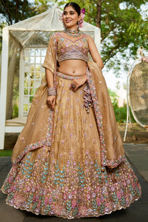 Dark Beige Tissue Embroidered Panelled Style Lehenga For Wedding