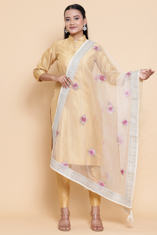 Light Beige Net Resham Thread Embroidered Dupatta