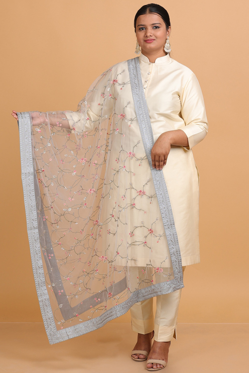 Light Grey Net Dupatta with Zari and Stone Embroidery
