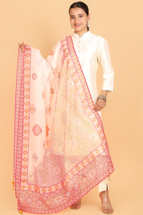 Light Beige Organza Printed Dupatta