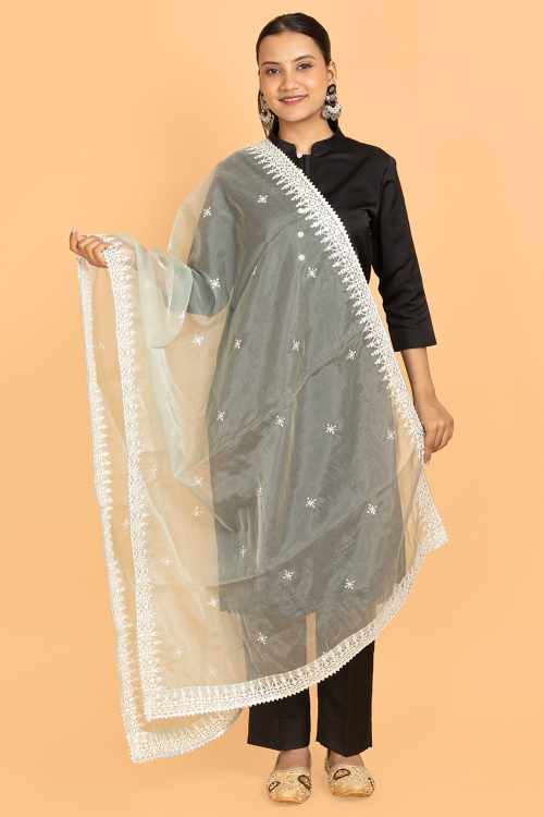 Mint Green Organza Resham Embroidered Dupatta
