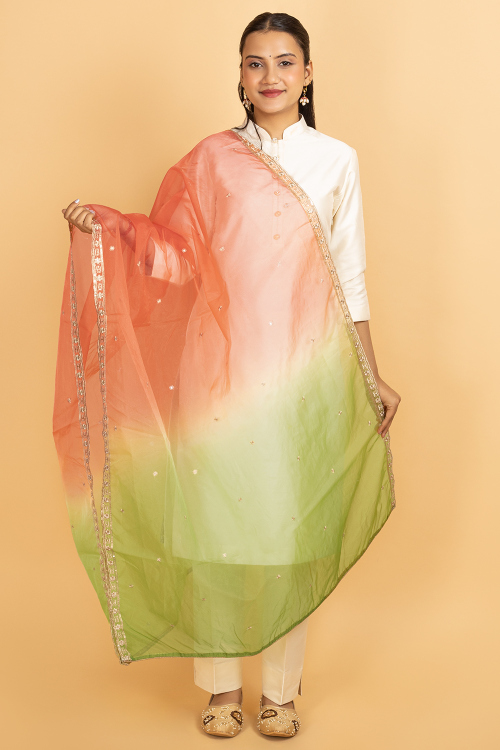 Multi Color Organza Thread Embroidered Dupatta