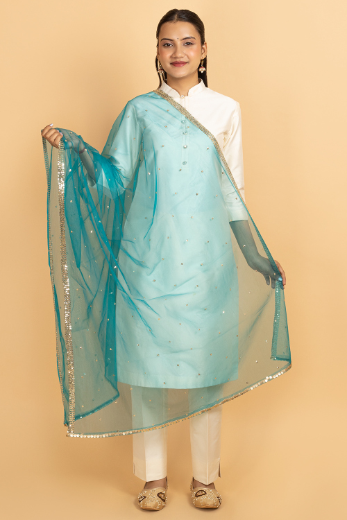 Sea Blue Net Zari Embroidered Dupatta
