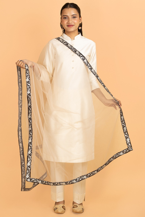 Beige Embroidered Lace Net Dupatta