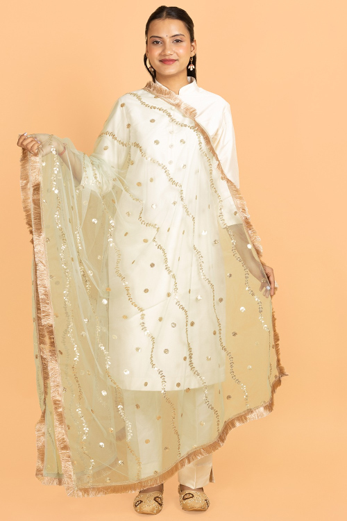 Pistachio Green Embroidered Dupatta In Net