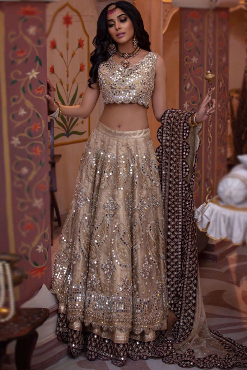 Gold A Line Sangeet Lehenga in Organza
