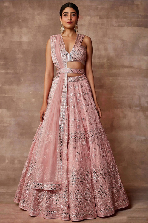 Embroidered Organza Panelled Lehenga In Light Peach 