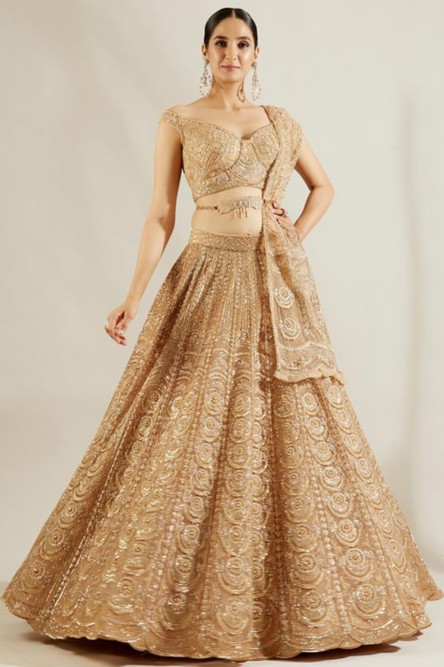 Net Gold Sequins Embroidered Lehenga for Party 