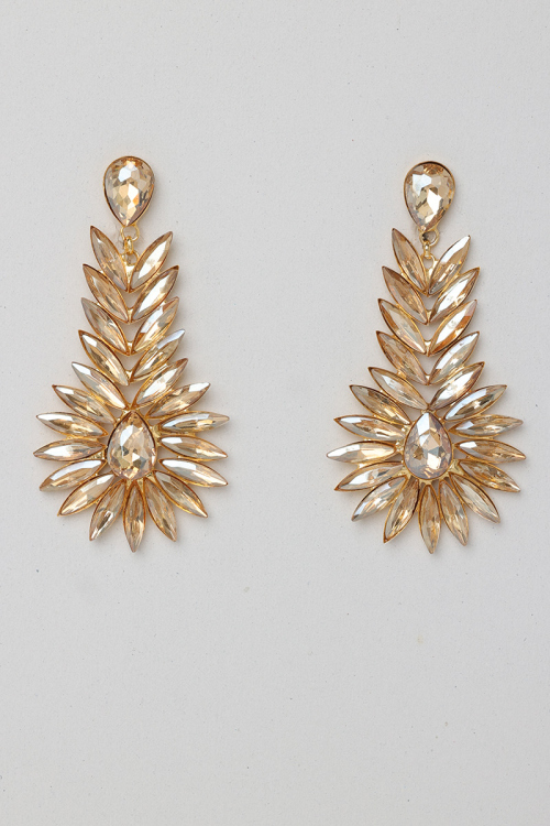 Elegant Drop Earrings