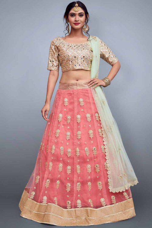 Pink Net Lehenga with Bangalori Silk Choli