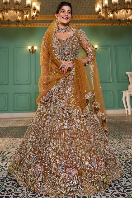 Light Brown Net Embroidered Panelled Style Lehenga 