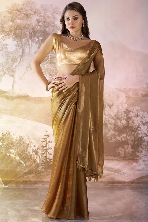 Light Brown Organza Embroidered Fancy Saree