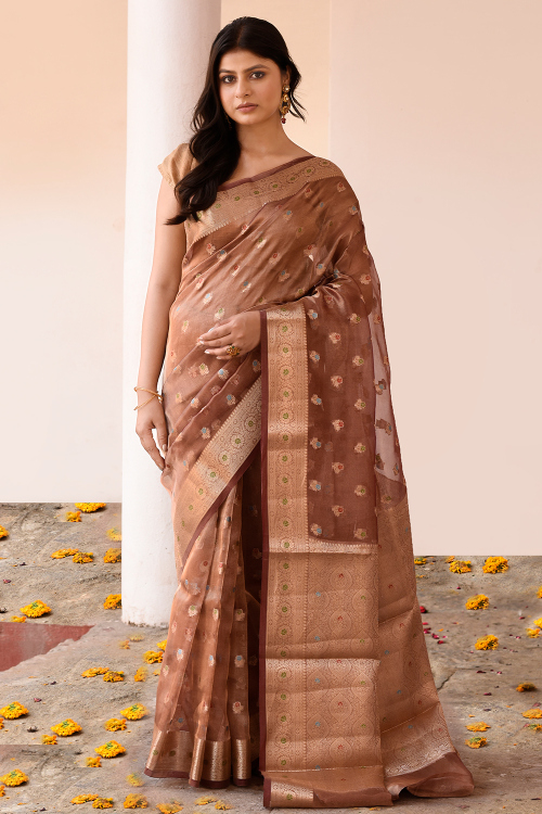 Light Brown Tissue Weaved Broad Border Saree