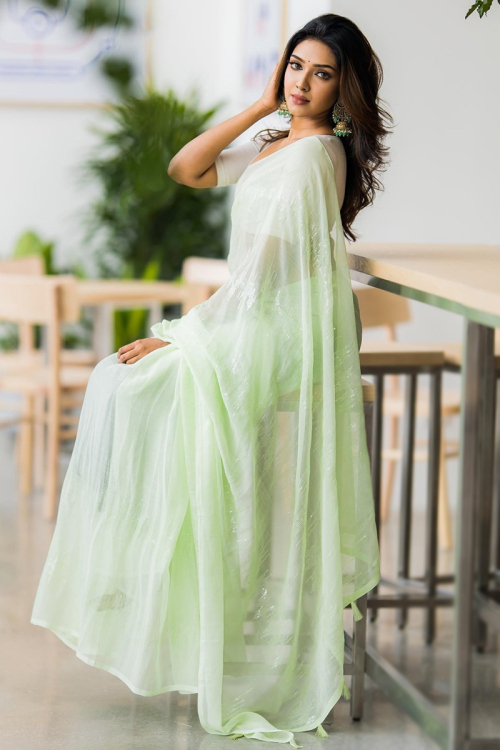 Light Green Chiffon Embroidered Light Weight Saree