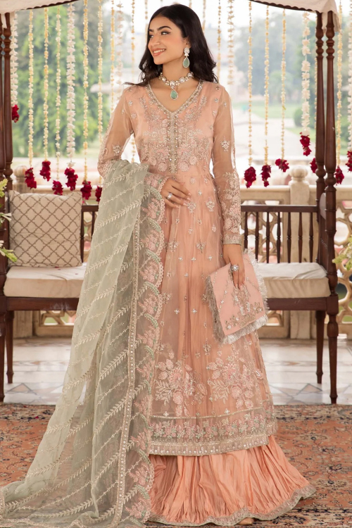 Light Peach Net Embroidered A Line Lehenga 