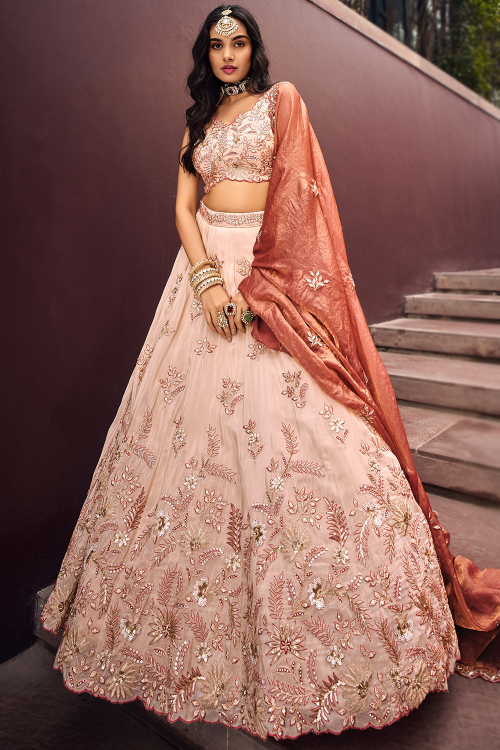 Light Peach Viscose Dori Embroidered Panelled Lehenga