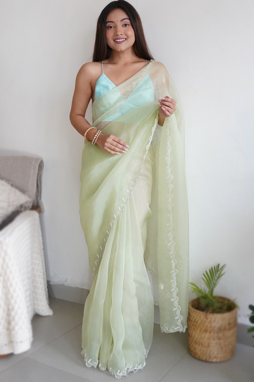 Light Pistachio Green Beads Embroidered Organza Saree