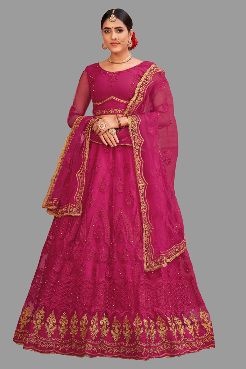 Net Rani Pink Stone Embellished Panelled Style Lehenga