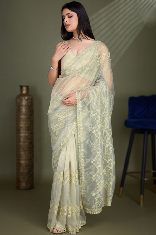 Pistachio Green Net Embroidered Shimmer Saree