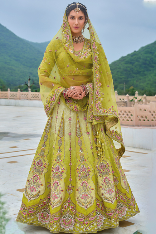 Silk Pear Green Zari Embroidered Panelled Style Lehenga