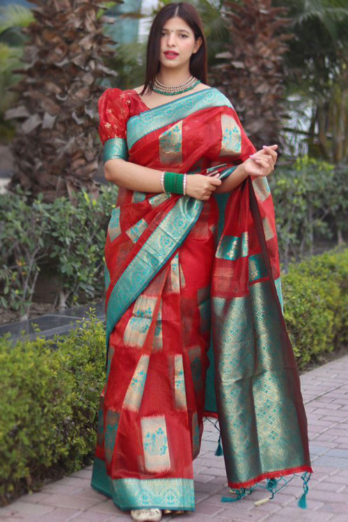 Organza tissue deals sarees online