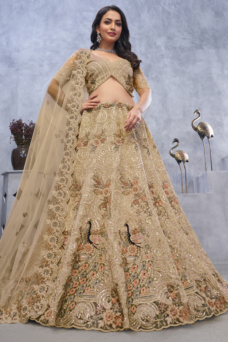 Beige Net Stone Embroidered Panelled Style Lehenga