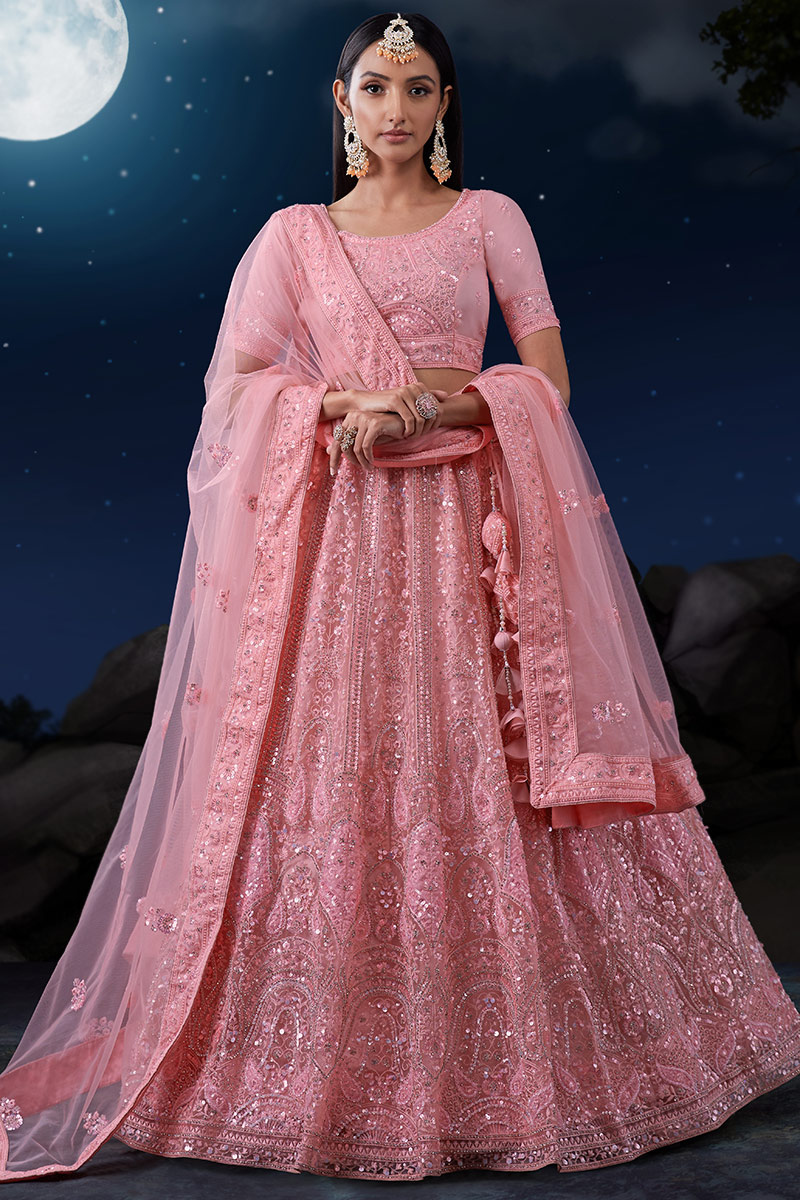 Blush Pink Net Embroidered Panelled Lehenga 