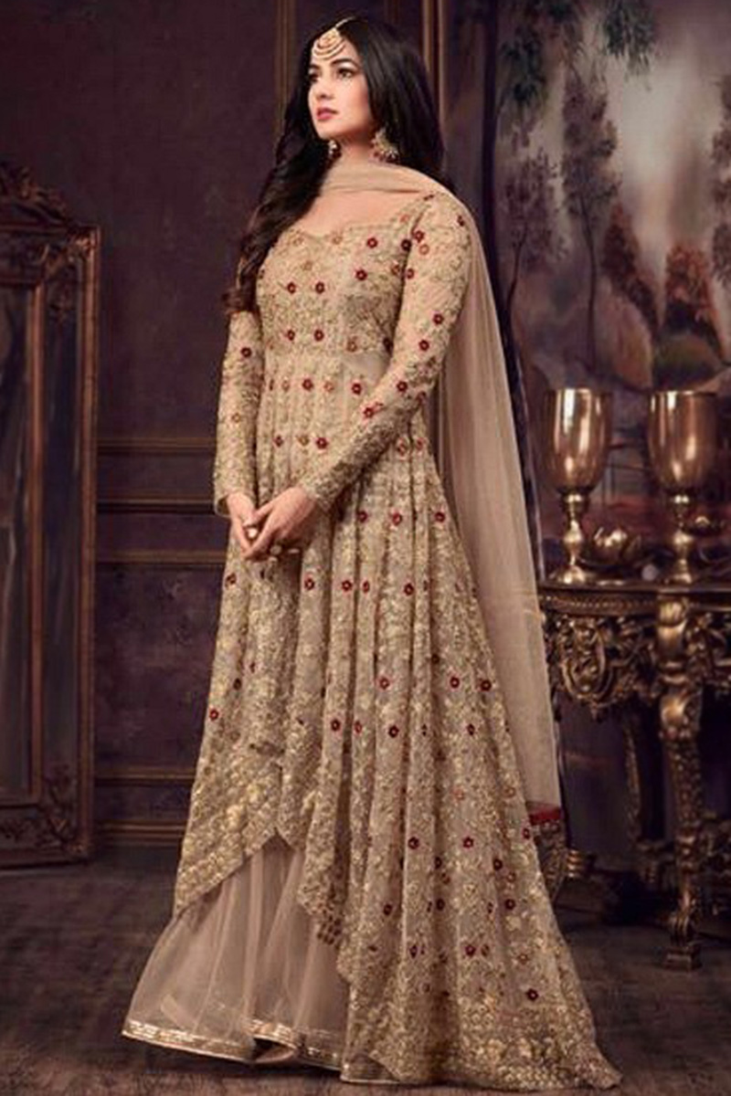 Dark Beige Embroidered Net High And Low Anarkali Suit 