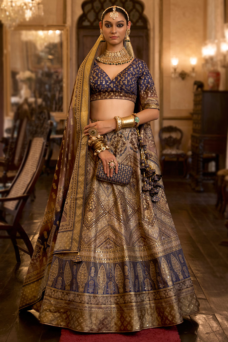 Dark Beige Silk Foil Print Work Panalled Style Lehenga