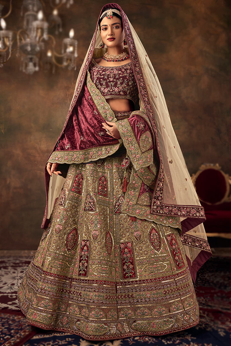 Dark Beige Velvet Embroidered Panelled Lehenga 