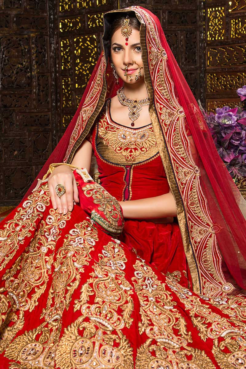 Bridal Lehenga Choli - Dreamy Red Velvet Dori & Zarkan Work Lehenga –  Empress Clothing
