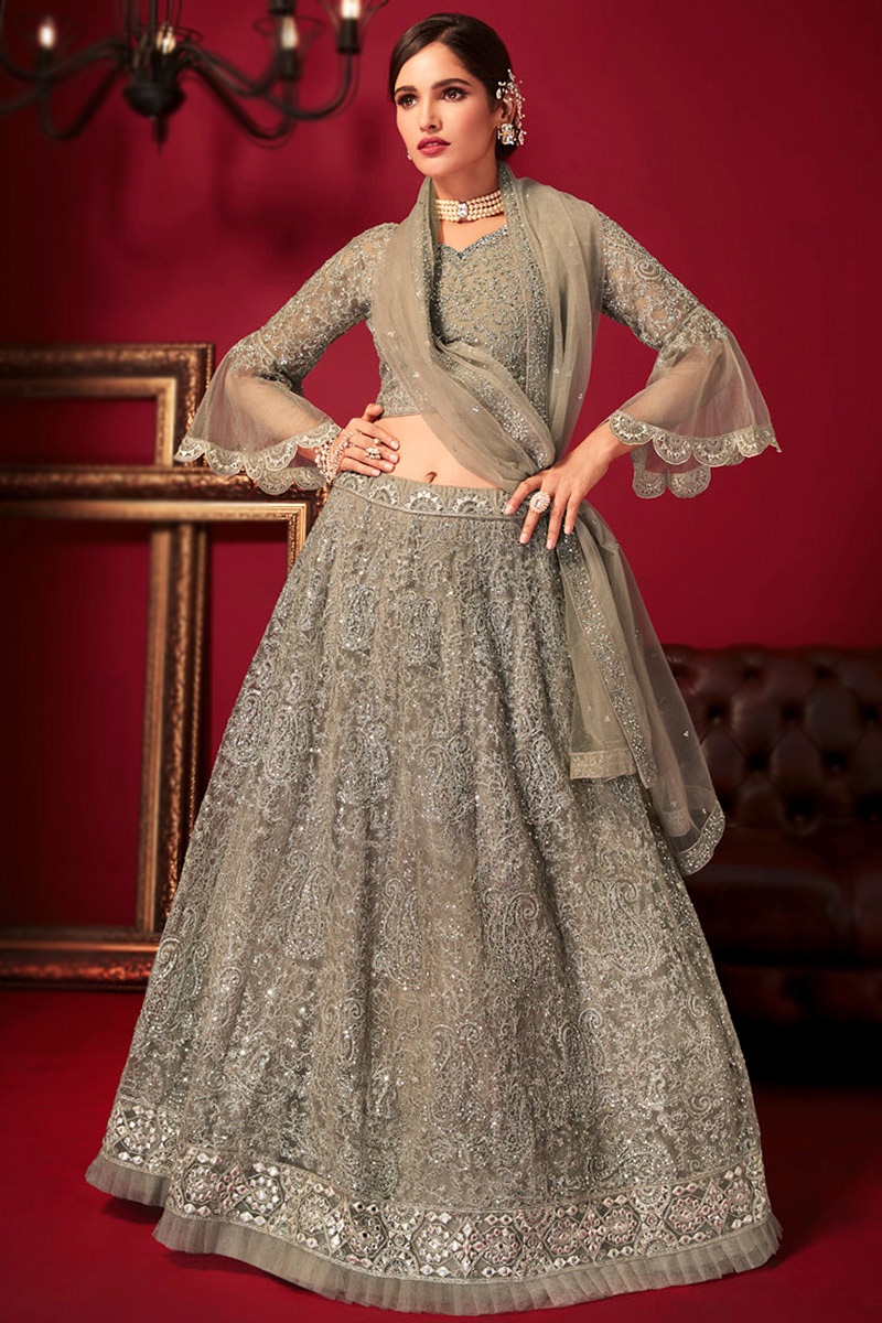 Dori Embroidered Net Oat Beige Panelled Lehenga