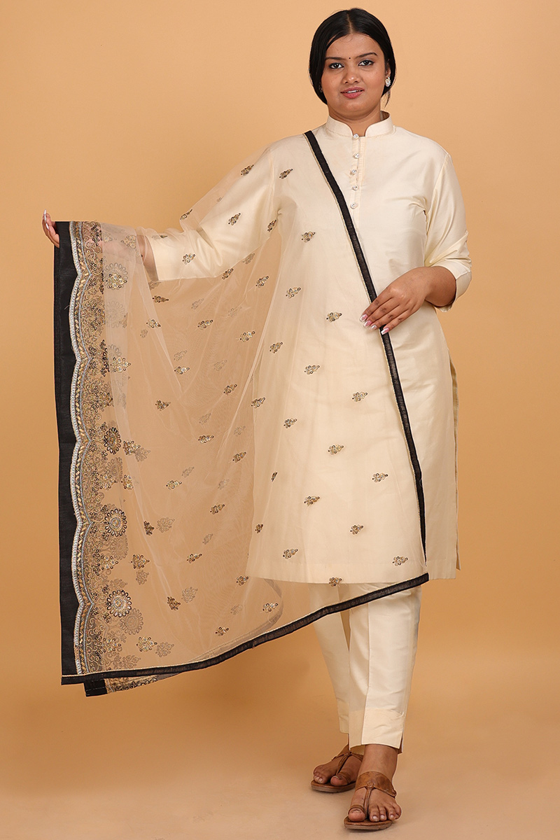 Light Beige Net Dupatta with Stone Work, Lace, Resham Thread