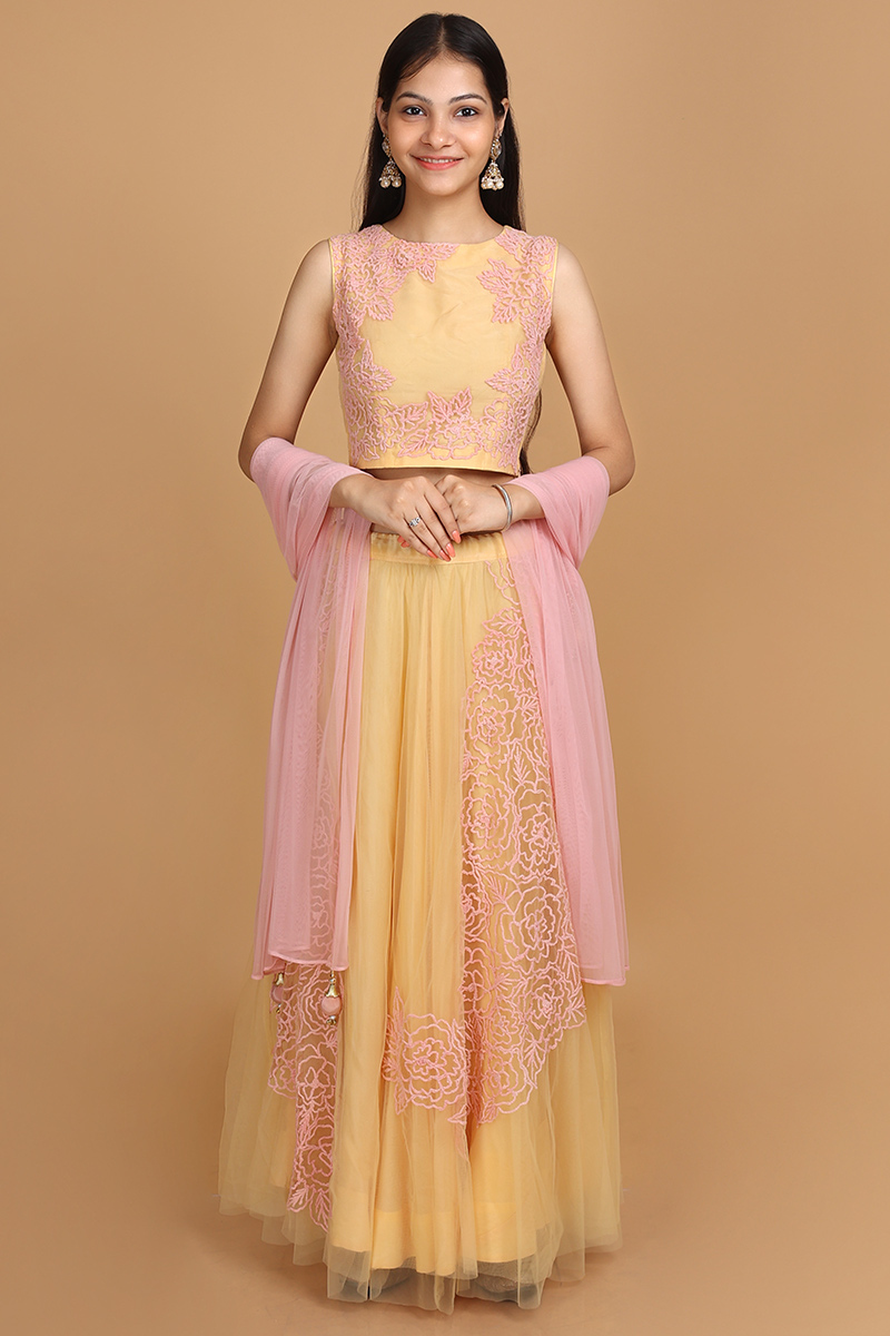 Embroidered Pale Yellow Net A Line Lehenga