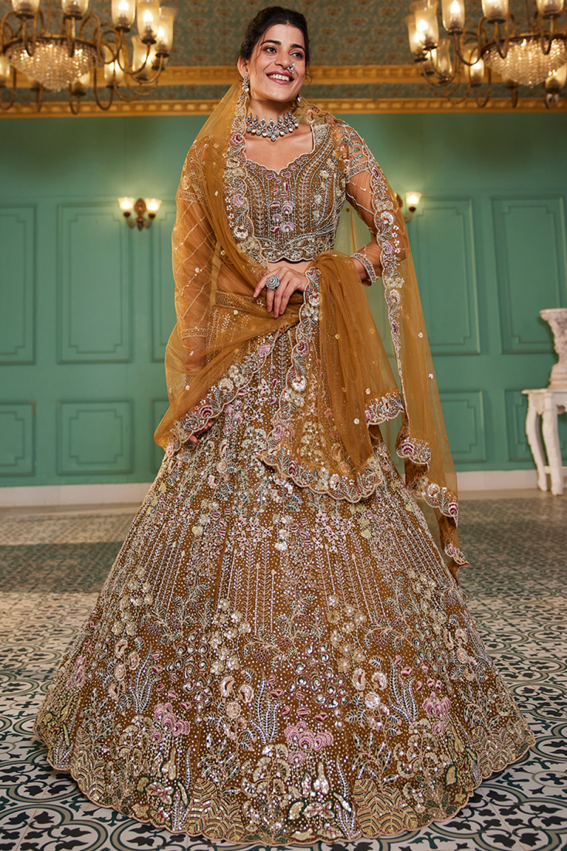 Light Brown Net Embroidered Panelled Style Lehenga 