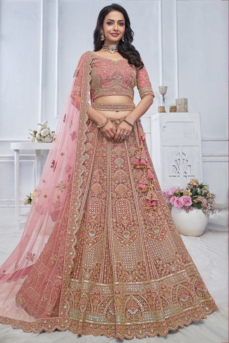 Light Pink Net Resham Embroidered Panelled Style Lehenga