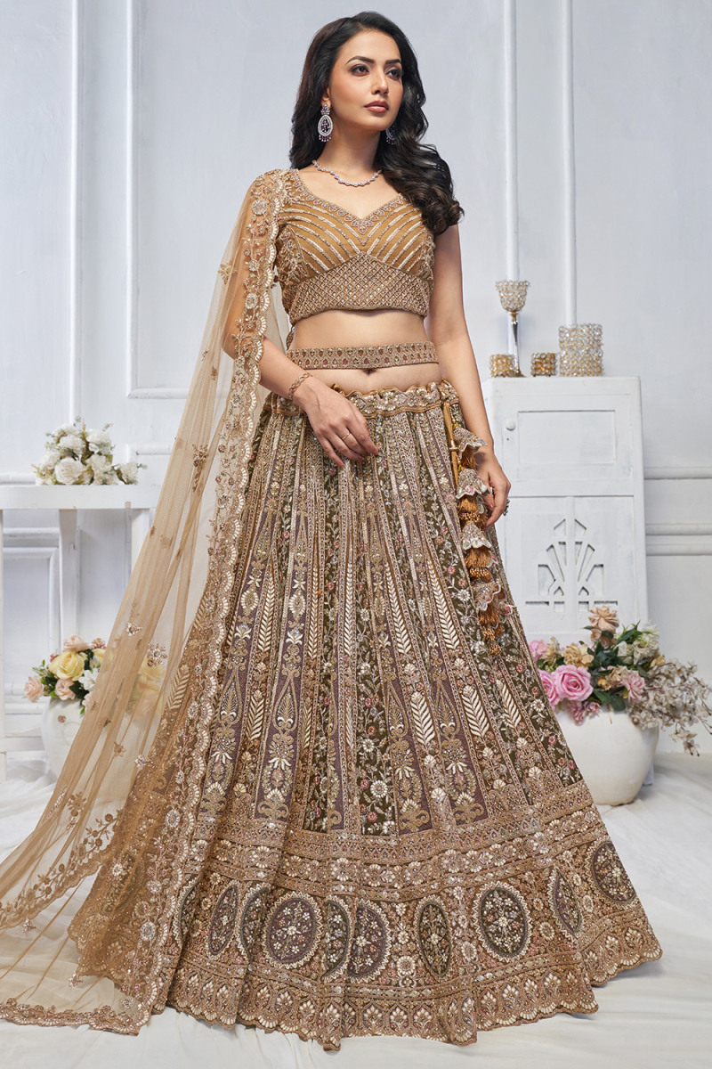 Net Zari Embroidered Multi Color Panelled Style Lehenga 