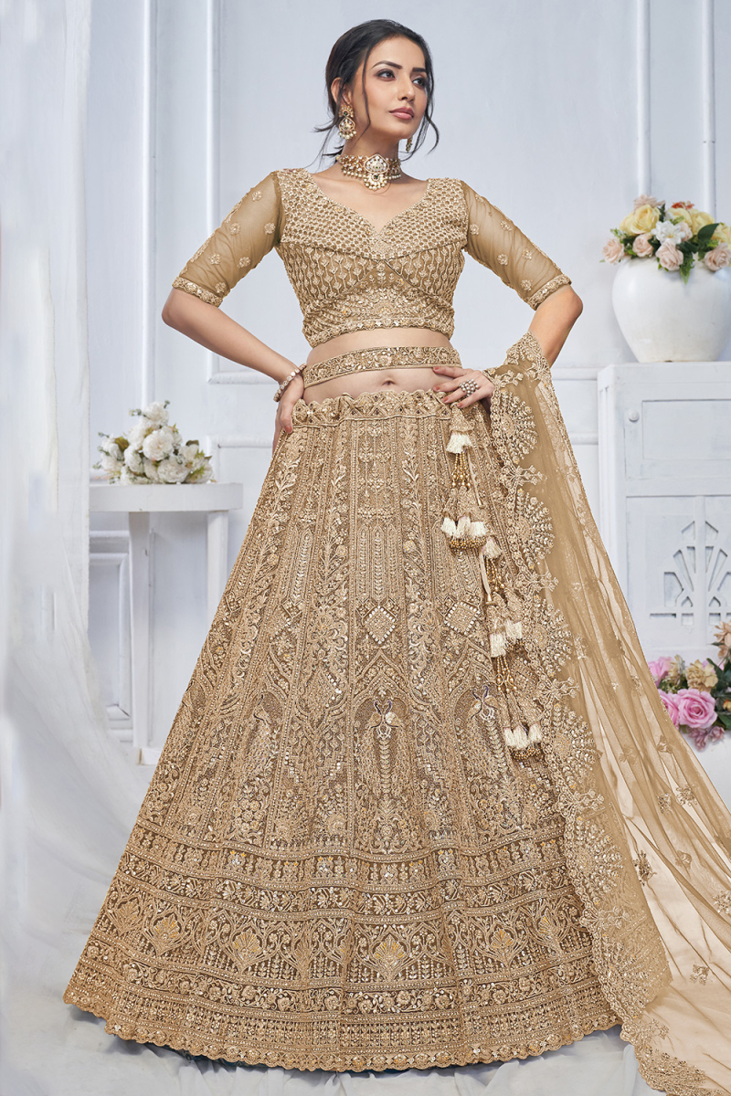 Oat Beige Net Resham Embroidered Panelled Style Lehenga 