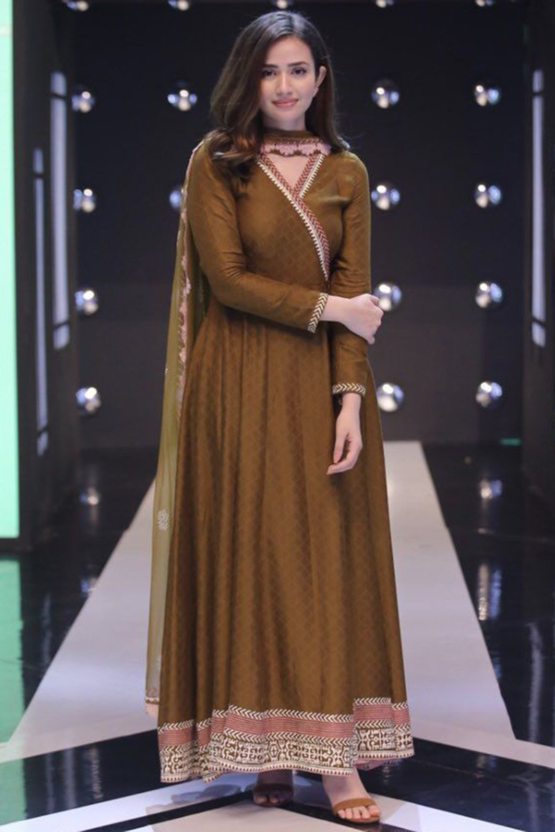 Pakistani anarkali dress clearance