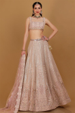 Light Mauve Dori Embroidered Net Panelled Style Lehenga for Wedding & Party