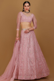 Net Light Pink Dori Embroidered Panelled Style Lehenga 