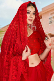 Red Net Embroidered Saree For Sangeet 