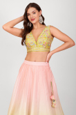 Pastel Pink Printed Silk Organza Flared Style Lehenga 