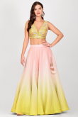 Pastel Pink Printed Silk Organza Flared Style Lehenga 