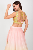 Pastel Pink Printed Silk Organza Flared Style Lehenga 
