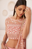 Thread Embroidered Net Light Pink Lehenga for Wedding & Party