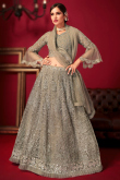 Embroidered Net Oat Beige Panelled Style Lehenga